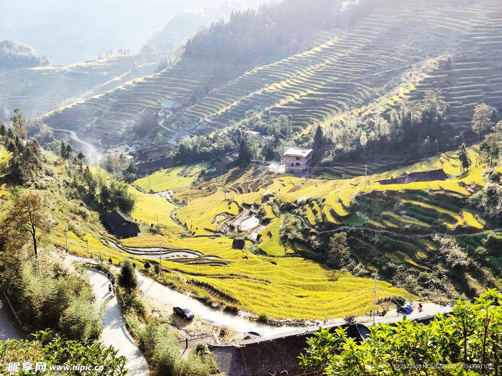 新化紫鹊界梯田