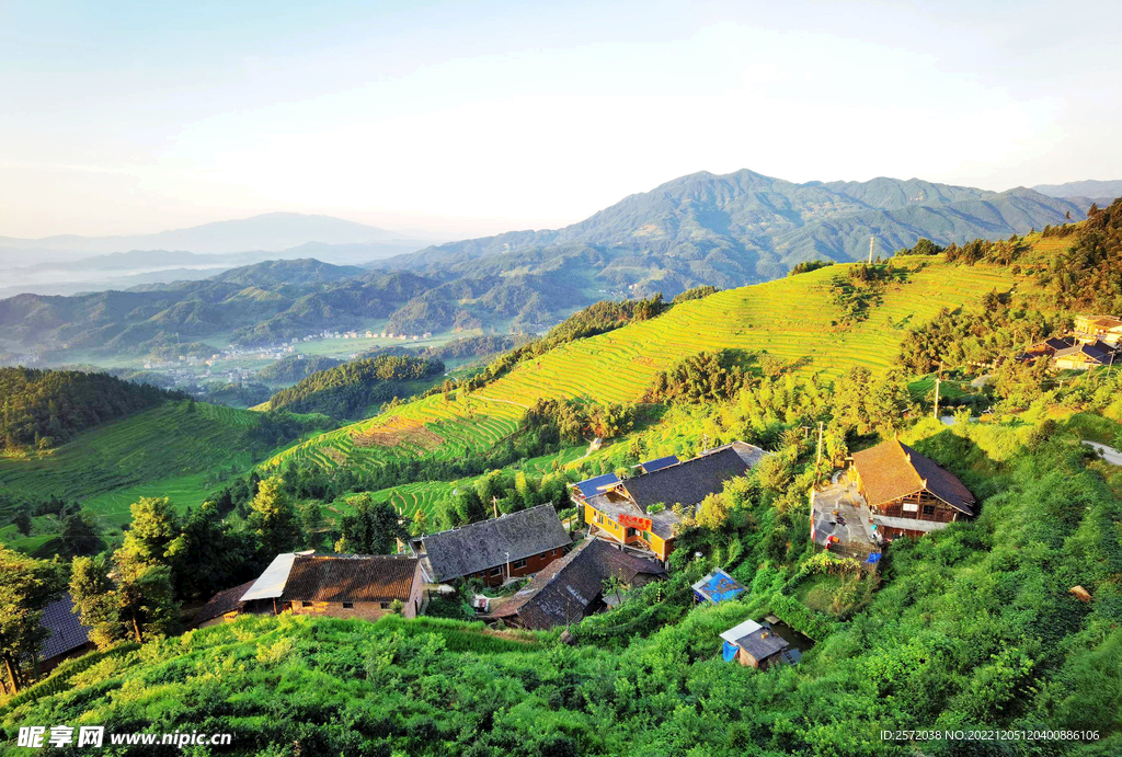 新化紫鹊界梯田