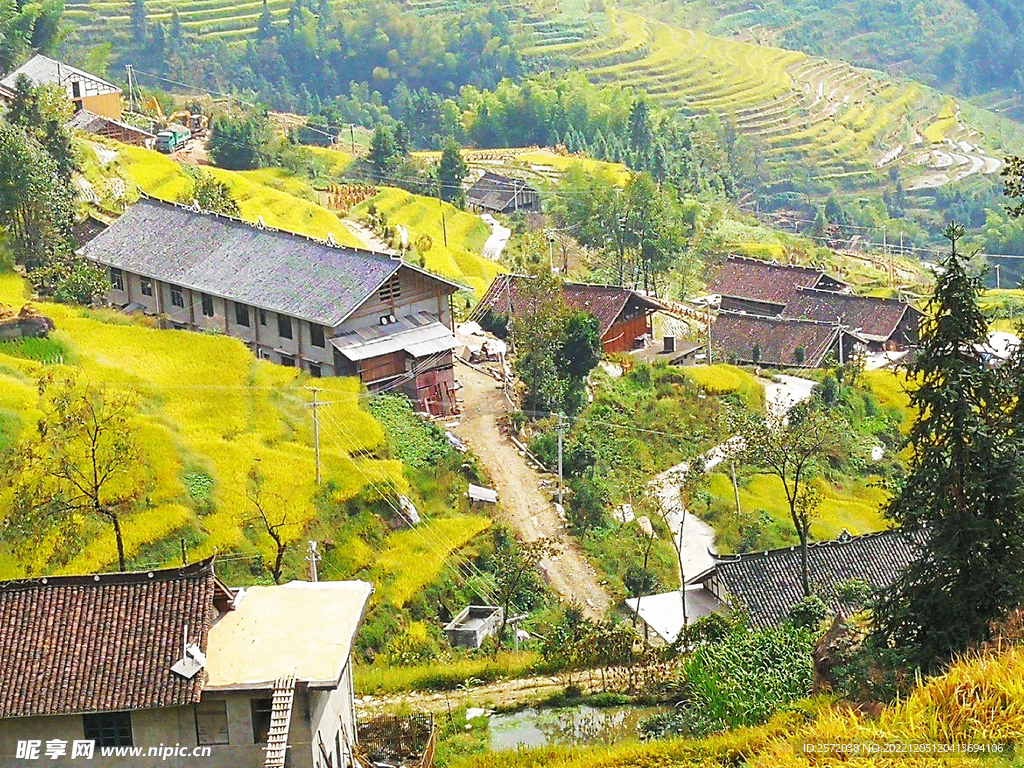 新化紫鹊界梯田