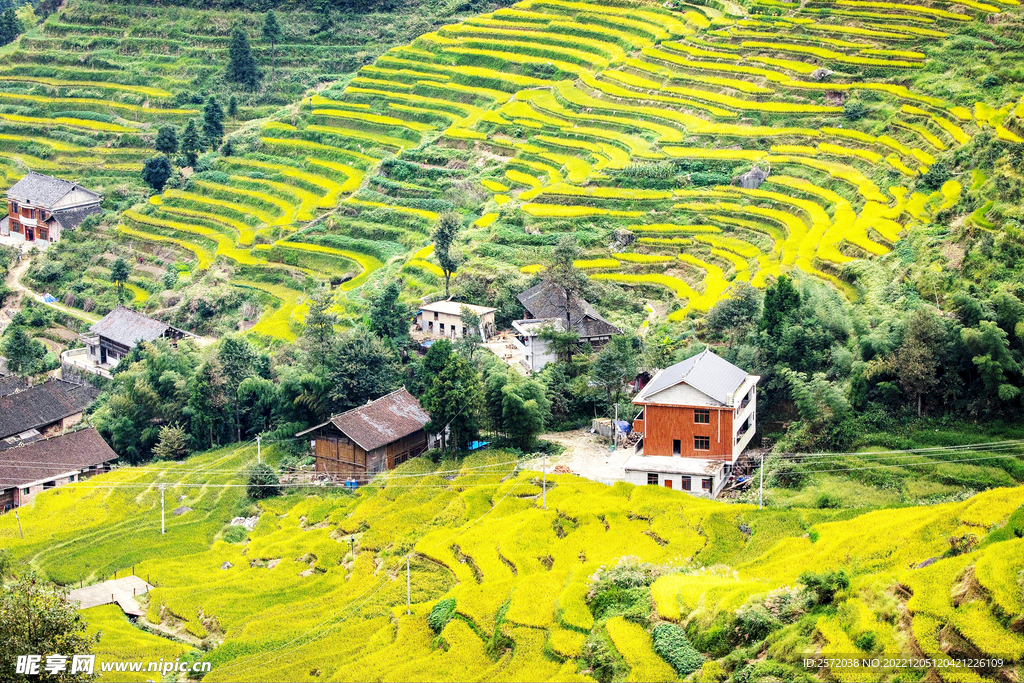 新化紫鹊界梯田