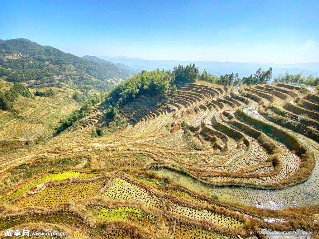 新化紫鹊界梯田