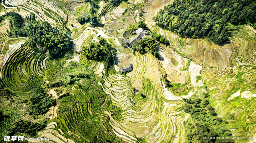 新化紫鹊界梯田