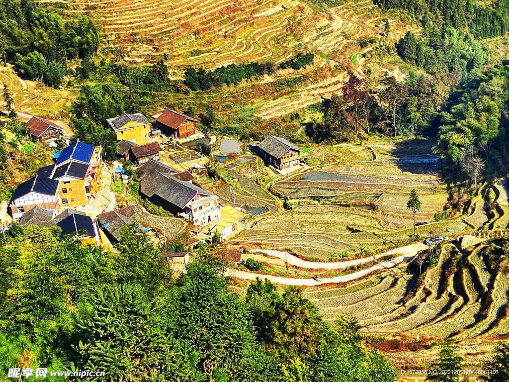 新化紫鹊界梯田