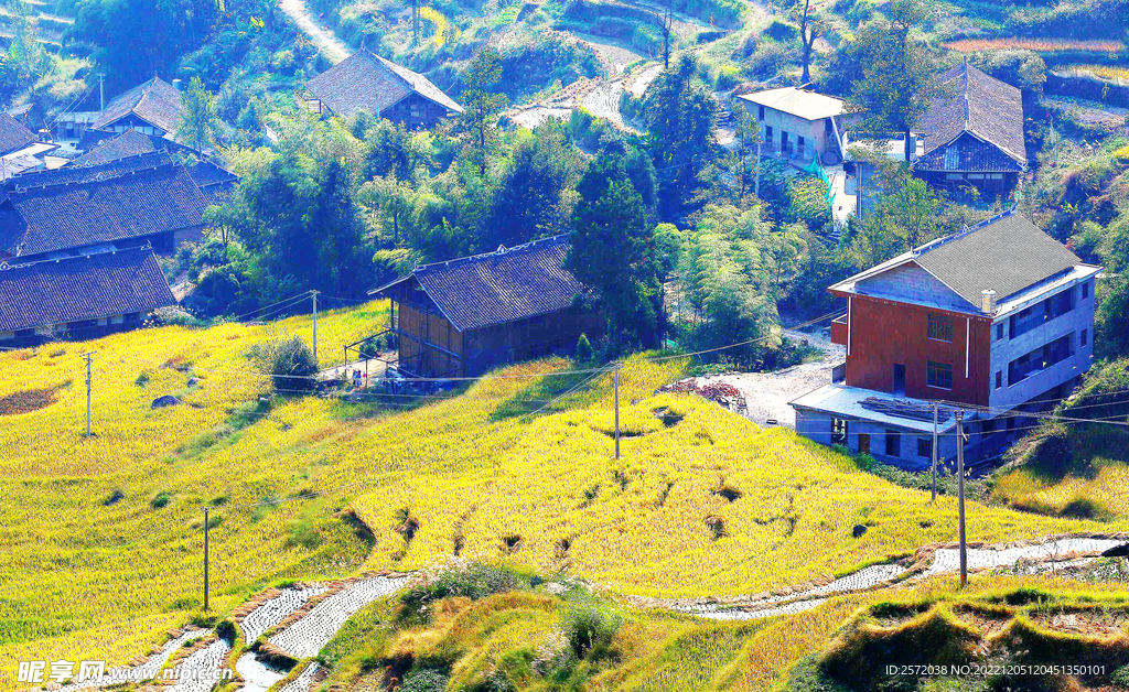 新化紫鹊界梯田