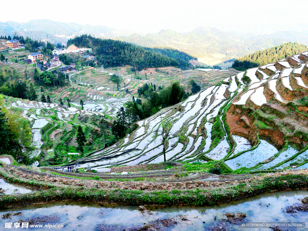 新化紫鹊界梯田