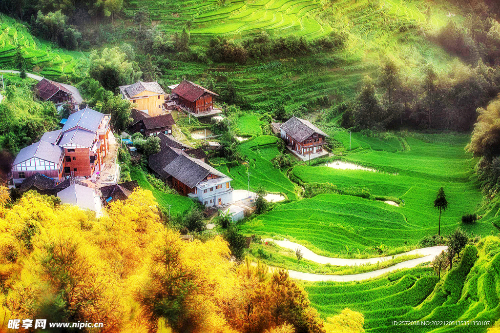 新化紫鹊界梯田