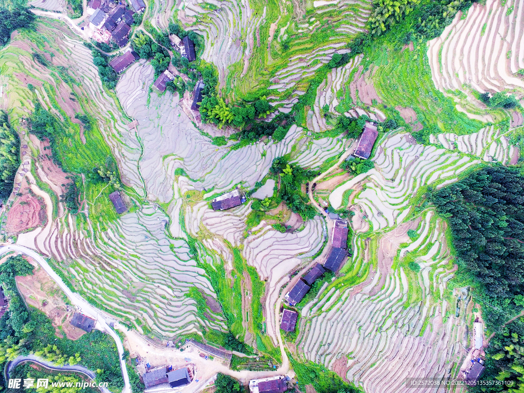 新化紫鹊界梯田