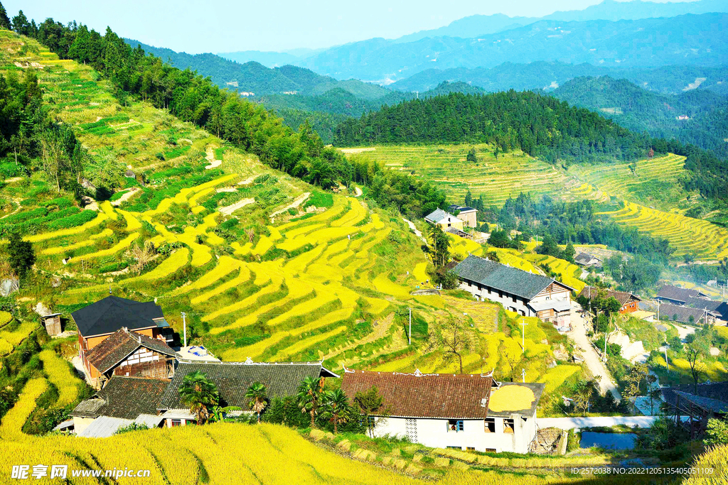 新化紫鹊界梯田