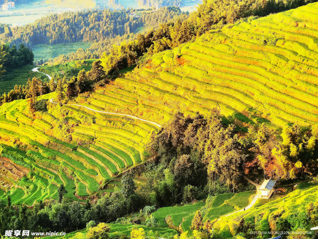 新化紫鹊界梯田