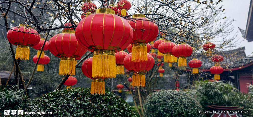 喜迎过新年喜庆灯笼