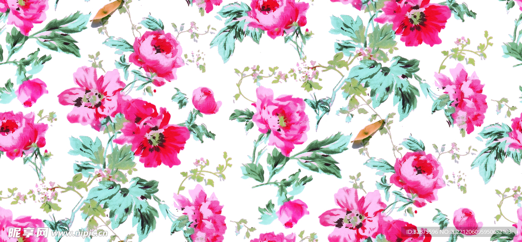 手绘花 玫瑰  月季花