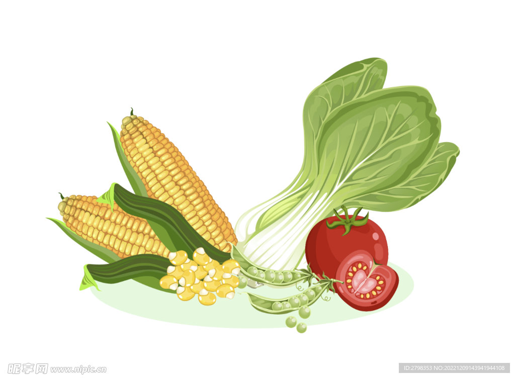 卡通青菜玉米设计元素