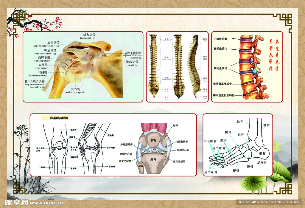 缘善堂理疗图片