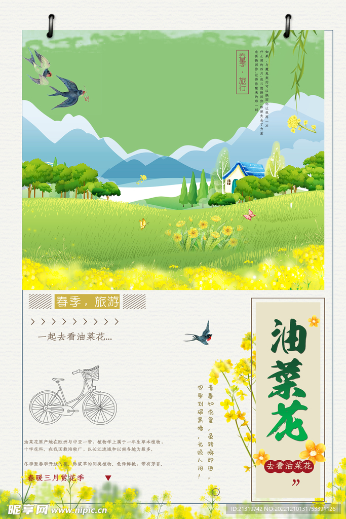 春天油菜花海报