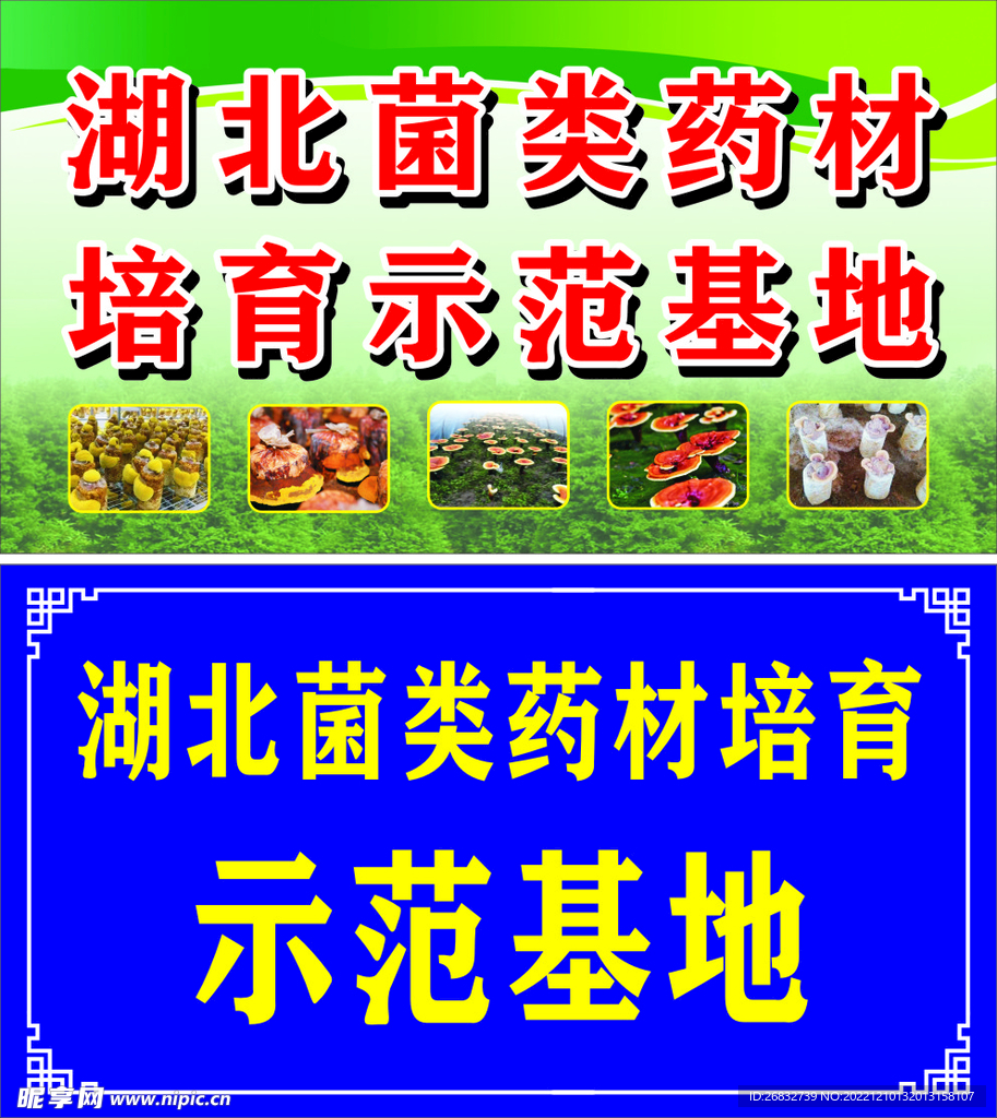 菌类药材培育示范基地