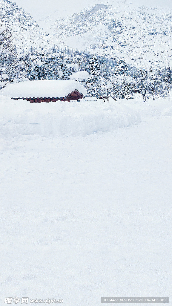 雪景