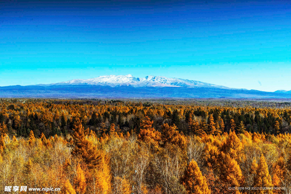 长白山秋色