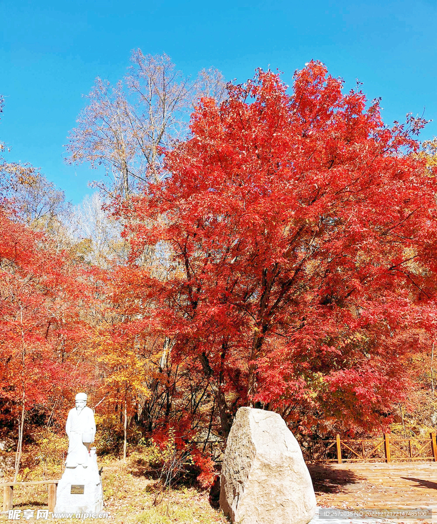 桓仁枫林谷秋色