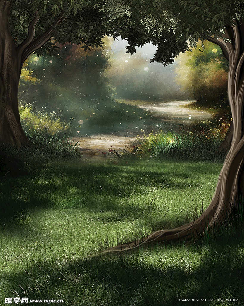 光斑草地大树背景