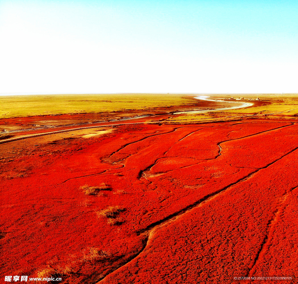 辽宁辽河口红海滩湿地