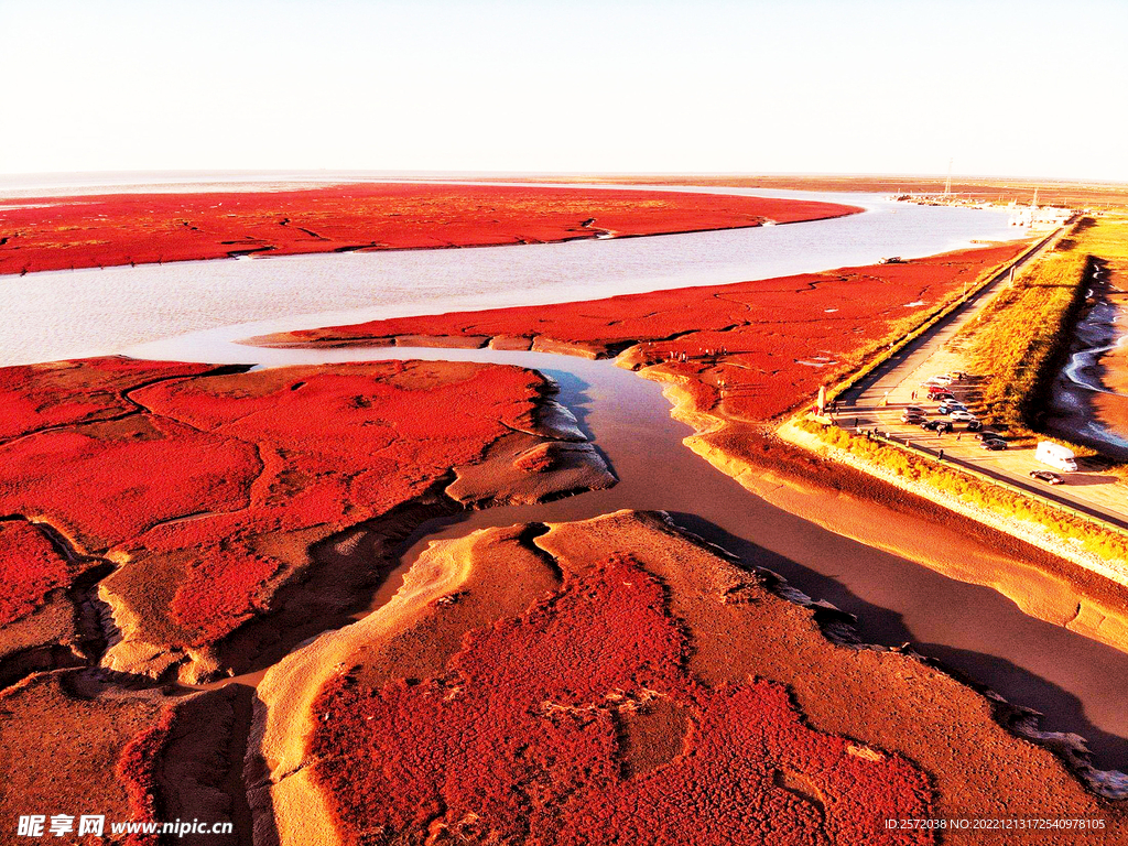 辽宁辽河口红海滩湿地