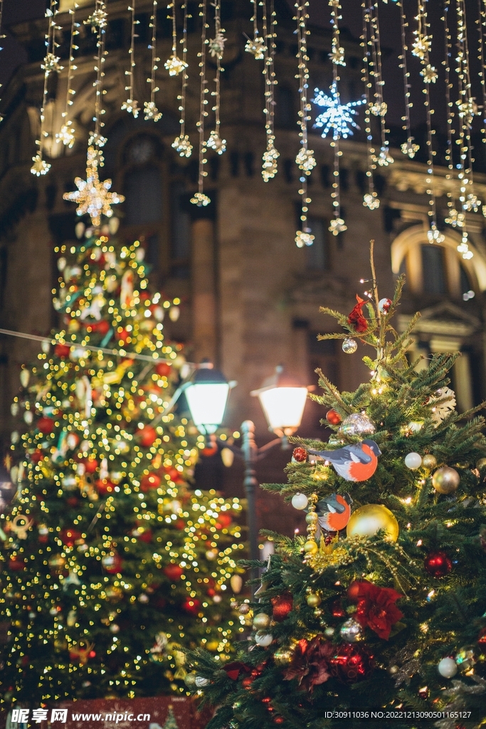 圣诞节圣诞树背景