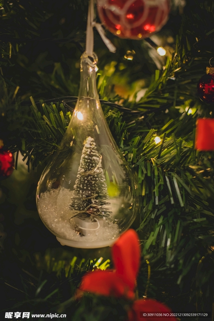 圣诞节圣诞树素材