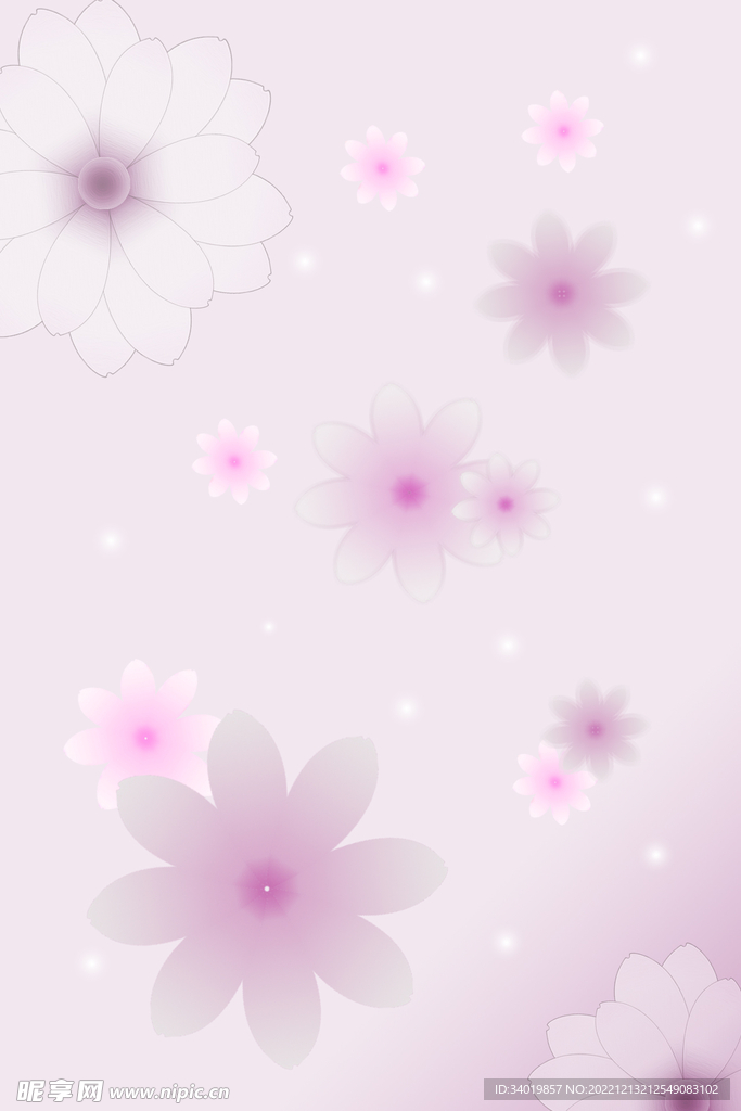 粉紫色唯美菊花背景图