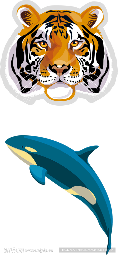 手绘老虎 海豚