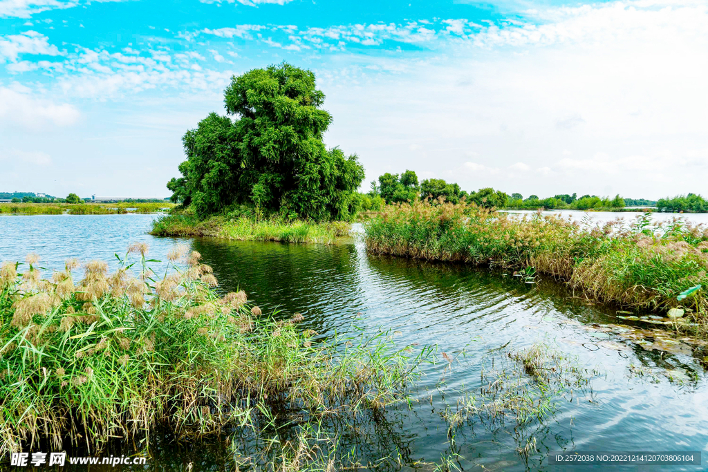 辽宁辽河七星湿地