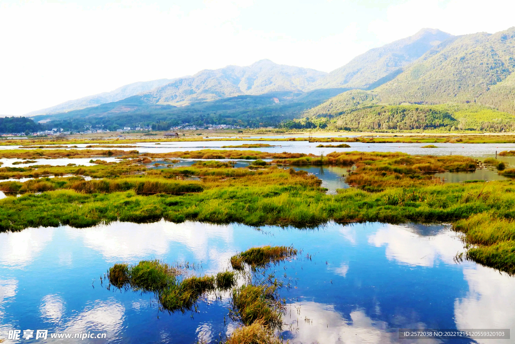 云南腾冲北海湿地