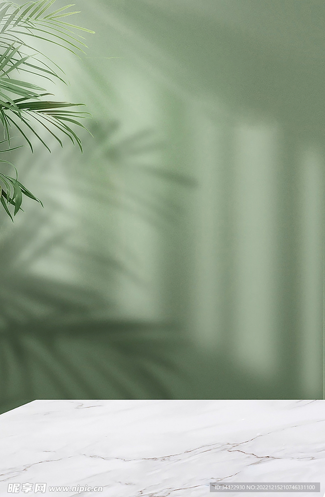树叶投影绿色桌子场景