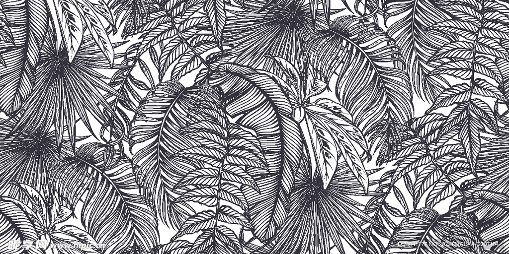 线条热带树叶