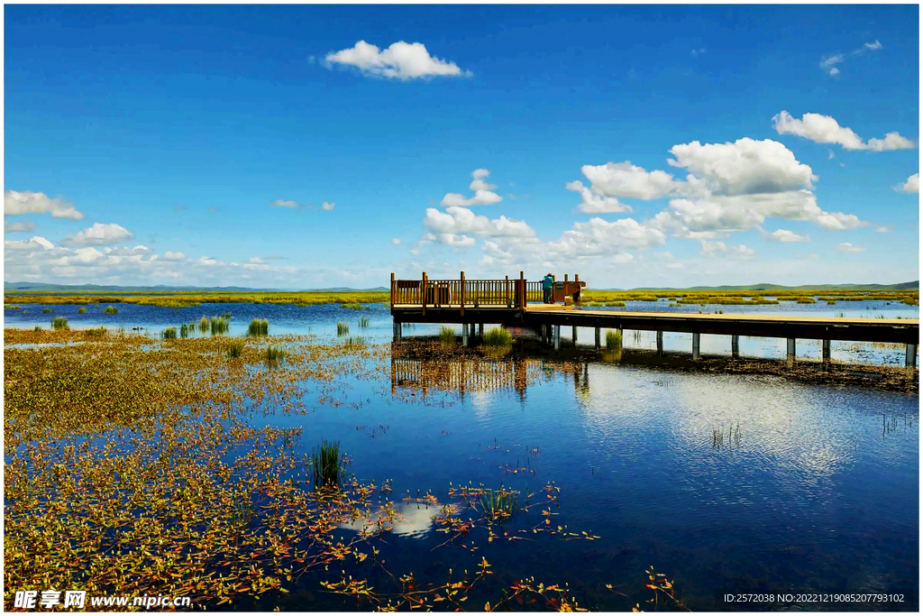 四川若尔盖湿地