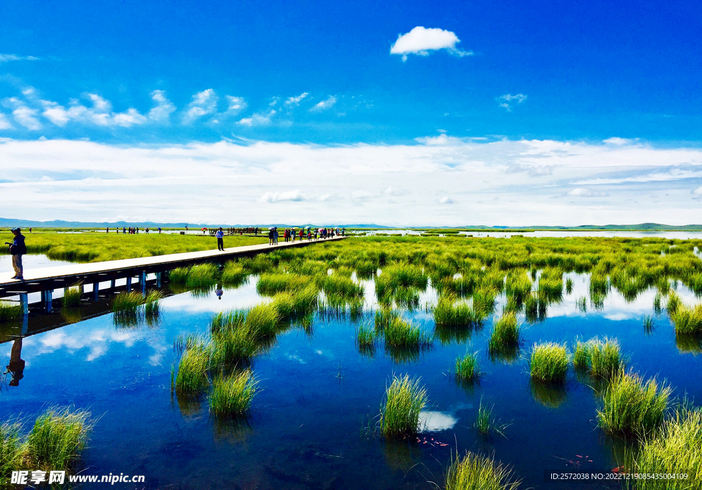 四川若尔盖湿地