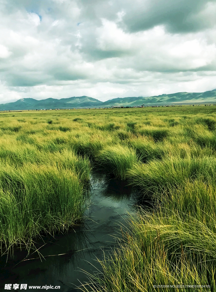 四川若尔盖湿地