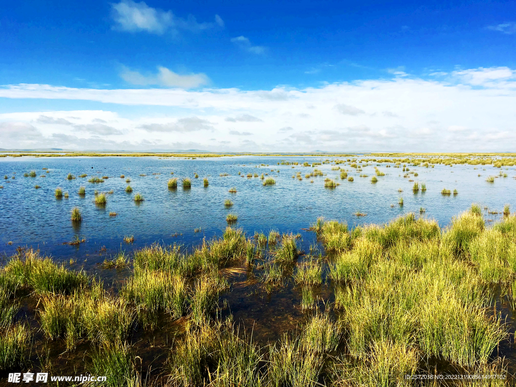 四川若尔盖湿地