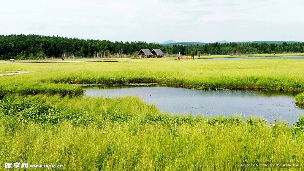河北塞罕坝七星湖湿地