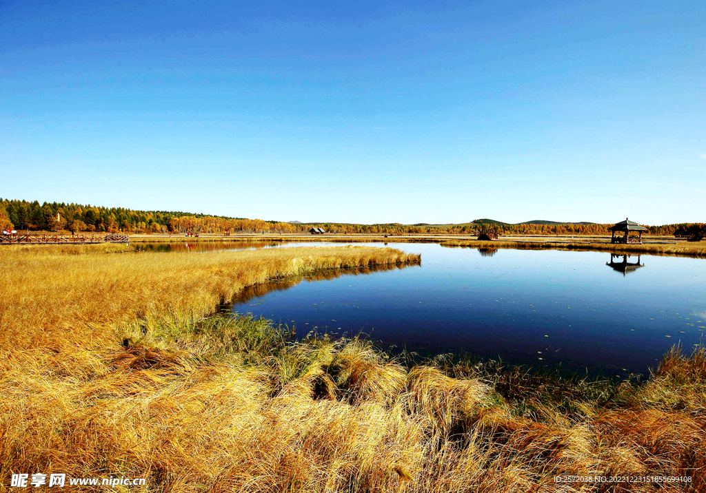 河北塞罕坝七星湖湿地