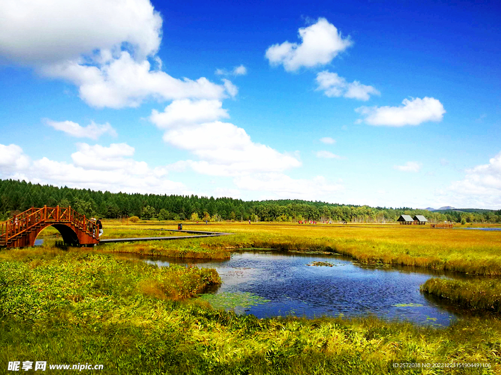 河北塞罕坝七星湖湿地