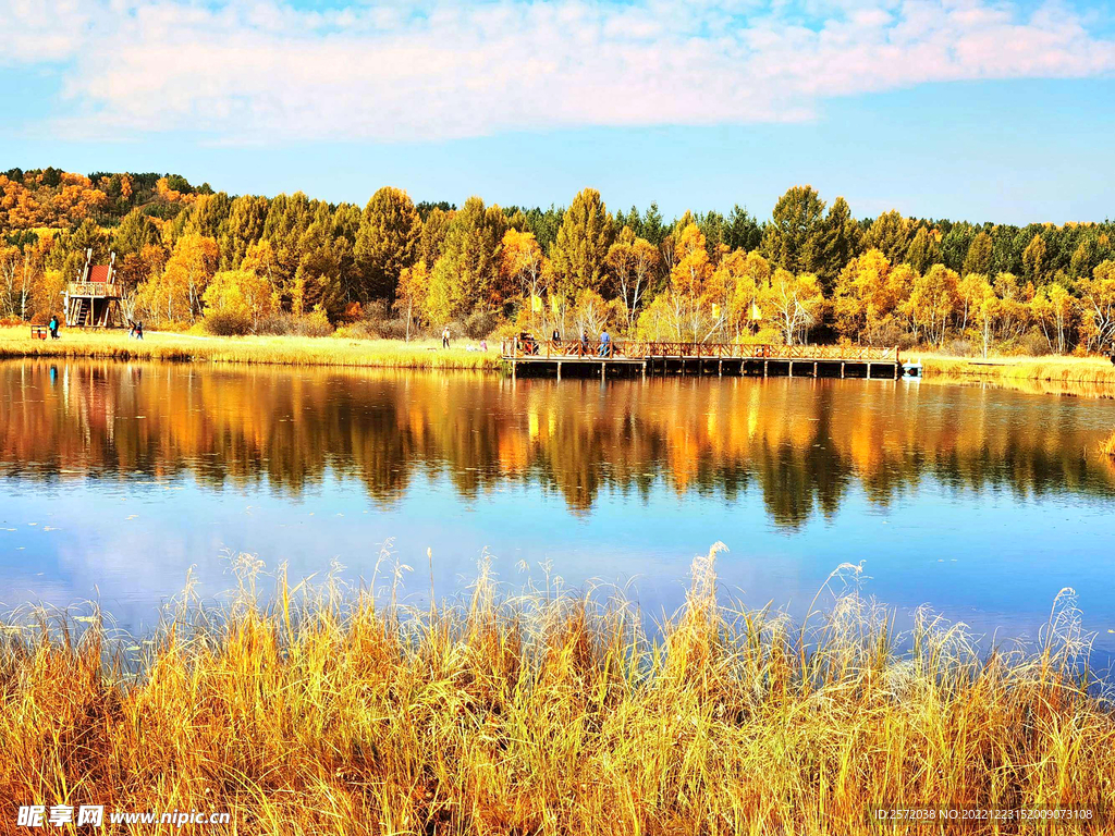 河北塞罕坝七星湖湿地
