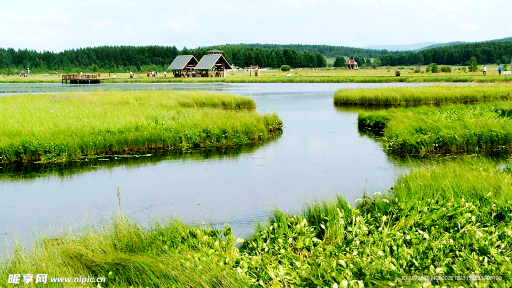 河北塞罕坝七星湖湿地