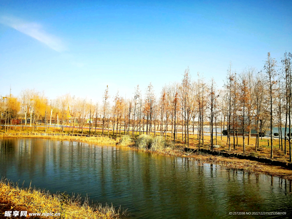 河南郑州龙湖湿地公园