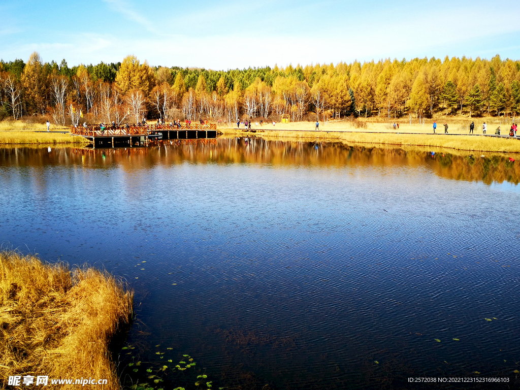 河北塞罕坝七星湖湿地
