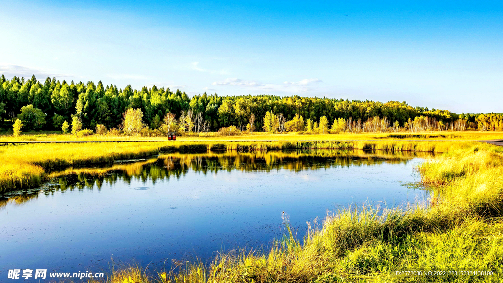 河北塞罕坝七星湖湿地