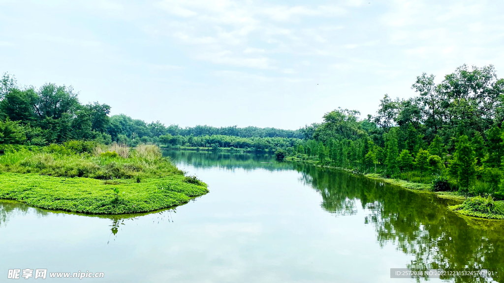 浙江丽水九龙湿地公园