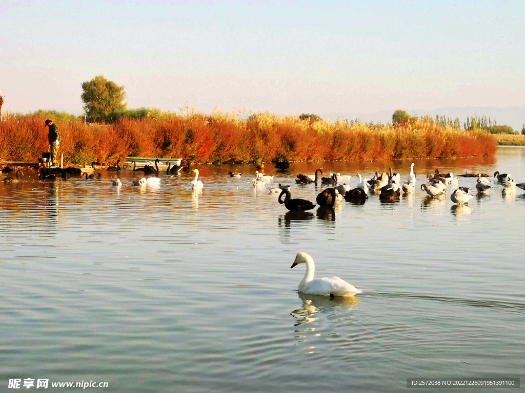 甘肃张掖国家湿地公园