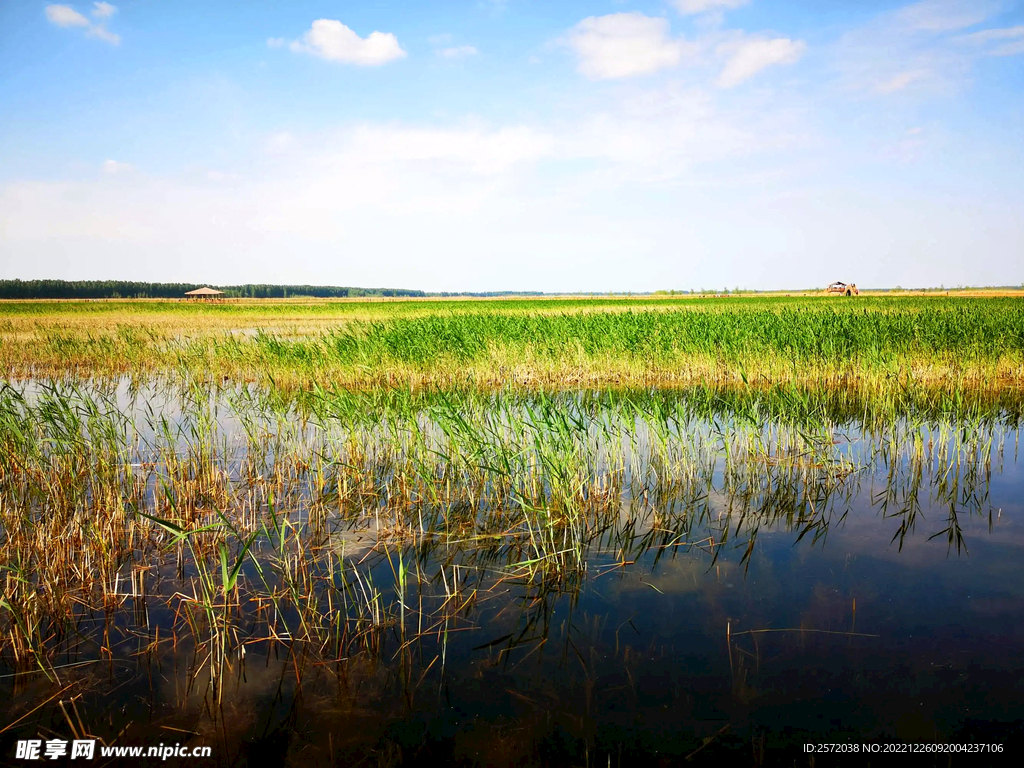 河北白洋淀湿地公园