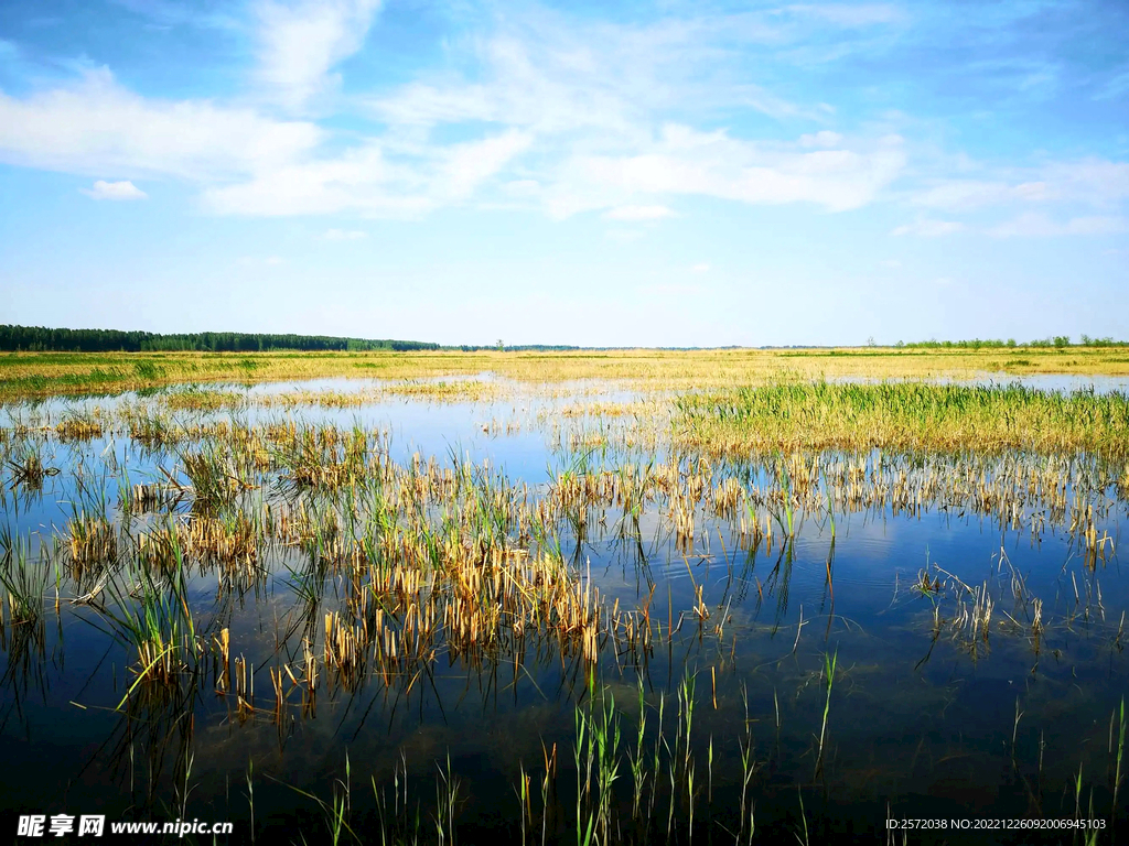 河北白洋淀湿地公园