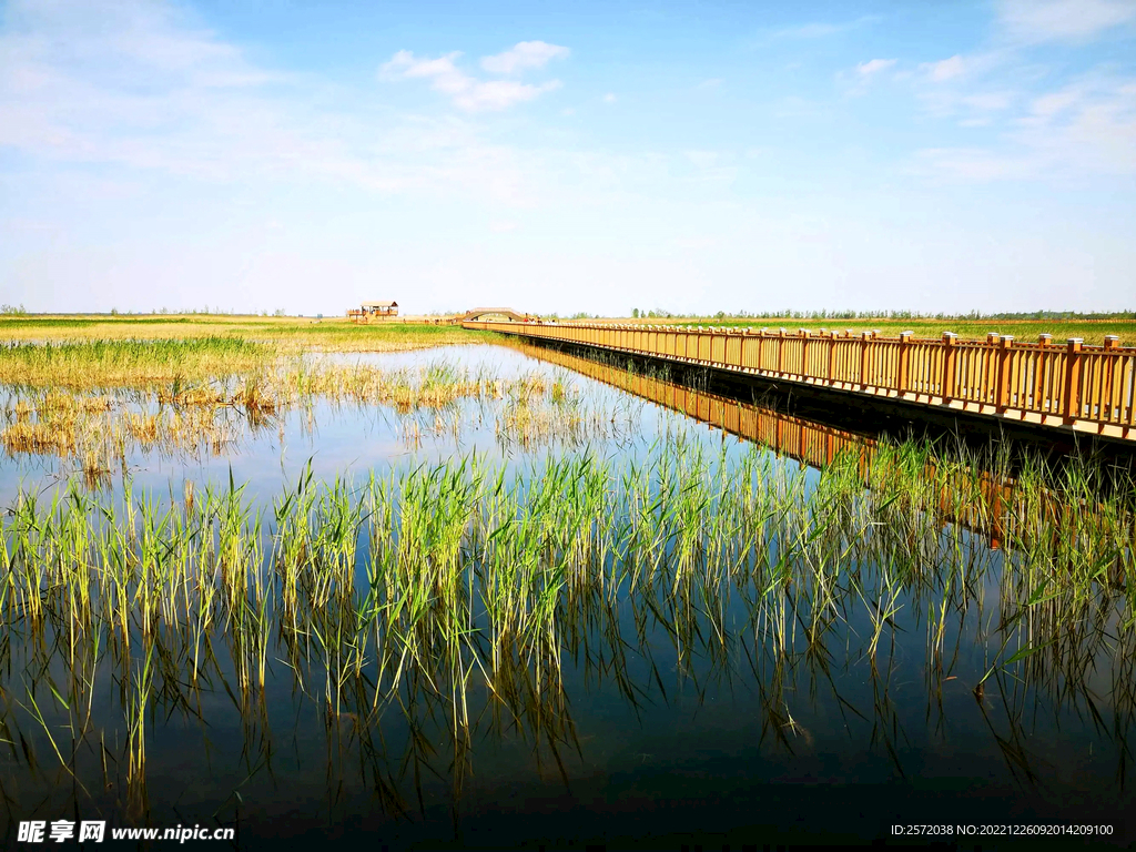 河北白洋淀湿地公园